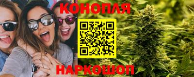 соль ск Заводоуковск