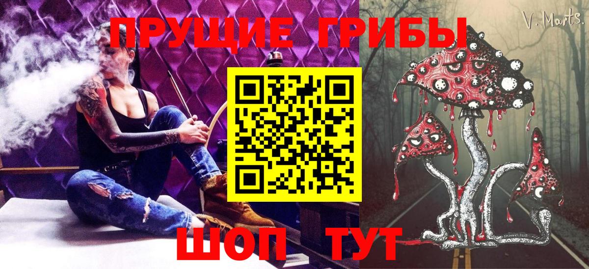Лесосибирск  Псилоцибиновые грибы GOLDEN TEACHER  Вход с VPN  Галлюциногенные грибы Psilocybe 