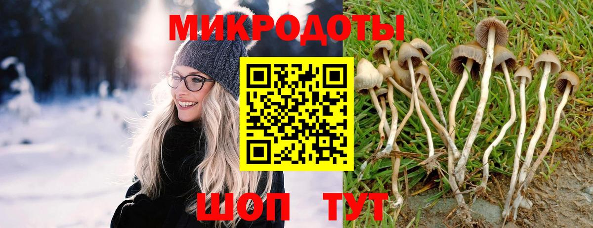 Псилоцибиновые грибы Magic Shrooms Лесосибирск